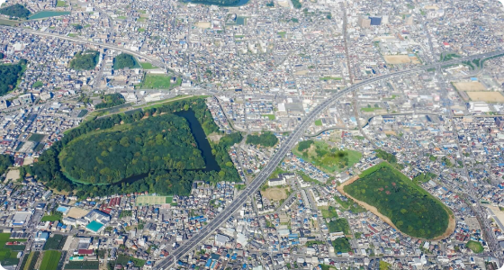 日本最大級の大きさを誇る応神天皇陵古墳